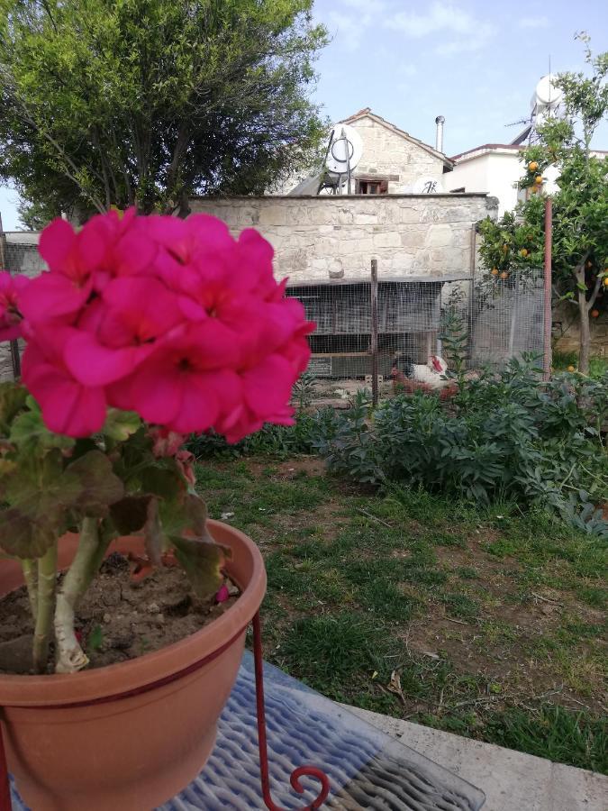 Gasthaus Kaizer Agrotourism Amargeti Exterior foto